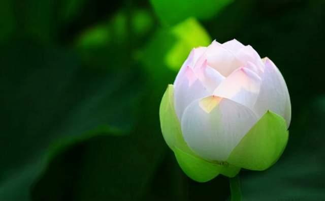 易经:若即若离,是一种高人心态