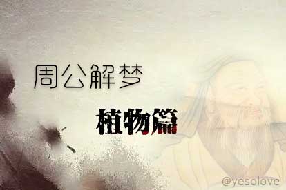 梦到苹果树代表什么