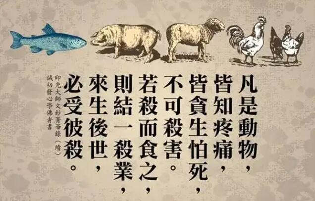 放生使我成为公司白领，月入5000元