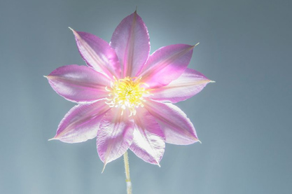 2022年6月10日出生的属虎女宝宝取名 大气独特女孩名