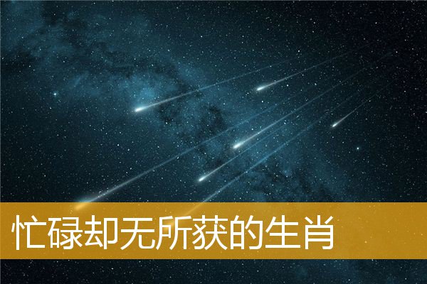 忙碌却无所获的生肖