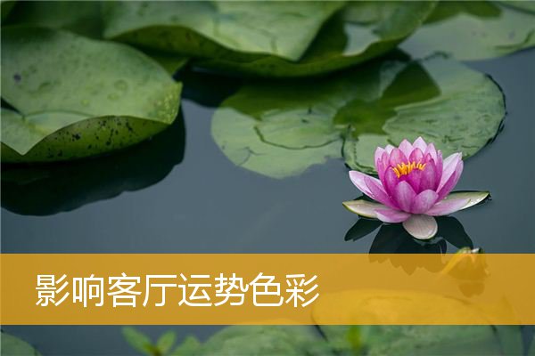 影响客厅运势色彩