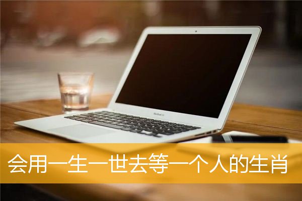 会用一生一世去等一个人的生肖