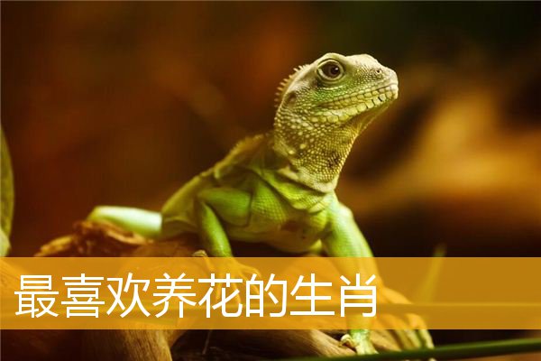 最喜欢养花的生肖
