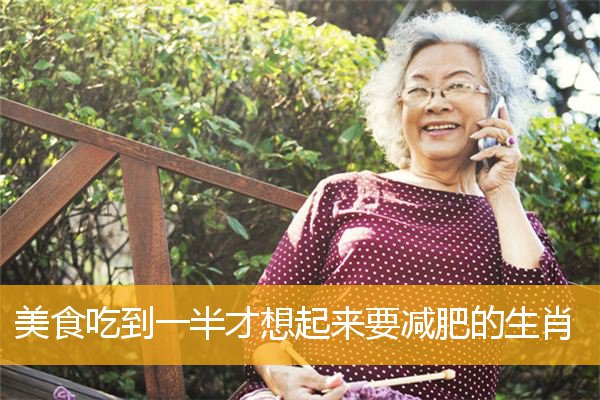 美食吃到一半才想起来要减肥的生肖