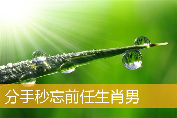 分手秒忘前任生肖男