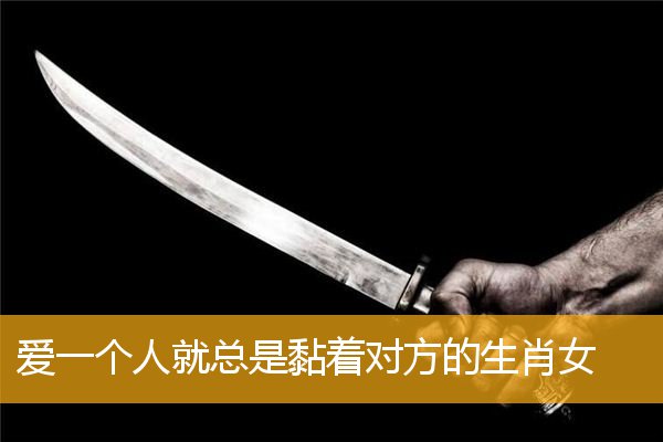 爱一个人就总是黏着对方的生肖女