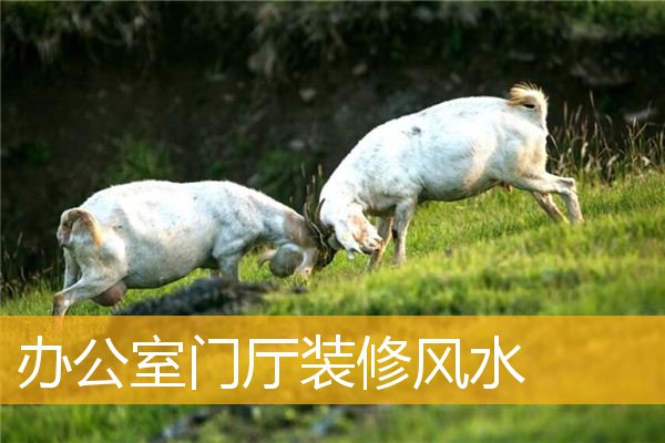 办公室门厅装修风水