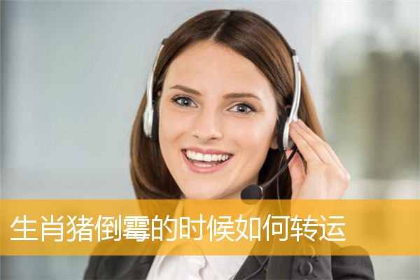 生肖猪倒霉的时候如何转运