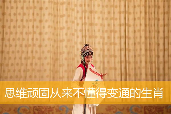 思维顽固从来不懂得变通的生肖