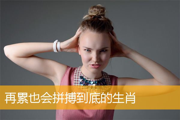 再累也会拼搏到底的生肖