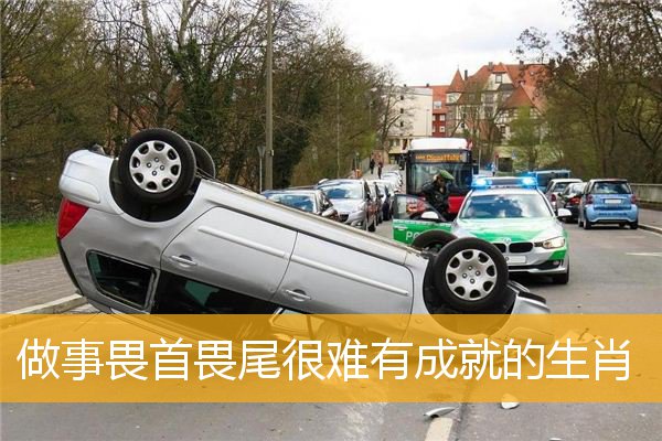 做事畏首畏尾很难有成就的生肖