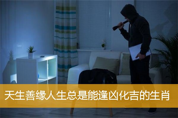 天生善缘人生总是能逢凶化吉的生肖