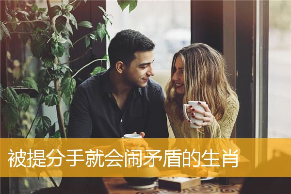 被提分手就会闹矛盾的生肖