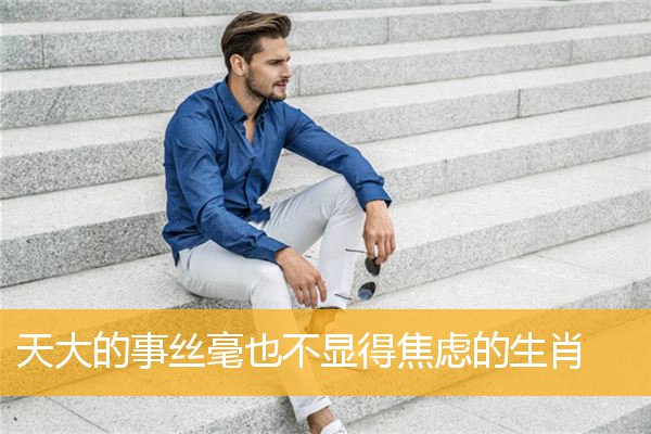 天大的事丝毫也不显得焦虑的生肖