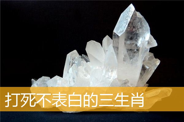 打死不表白的三生肖