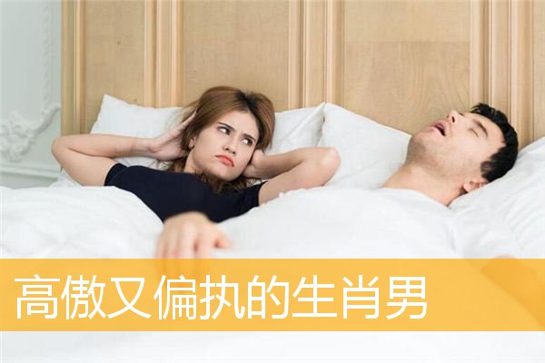 高傲又偏执的生肖男