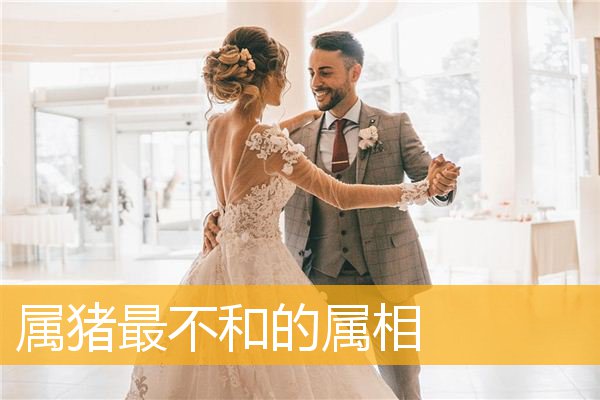 属猪最不和的属相