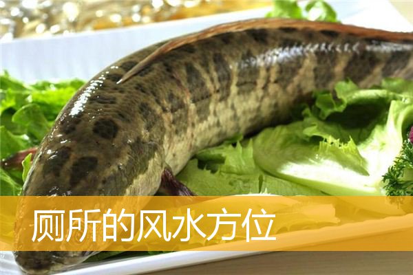 厕所的风水方位