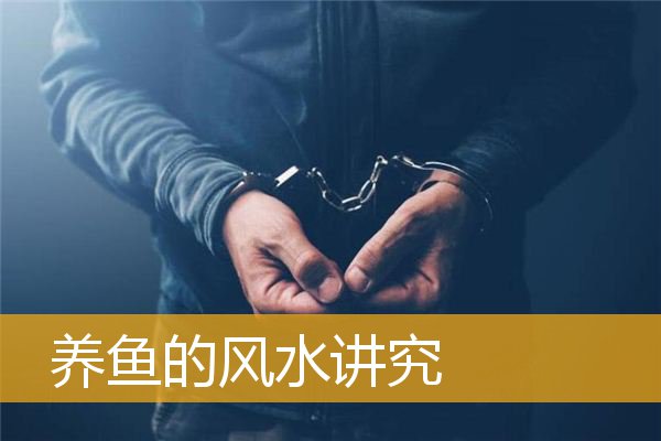 养鱼的风水讲究