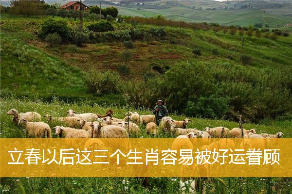 立春以后这三个生肖容易被好运眷顾