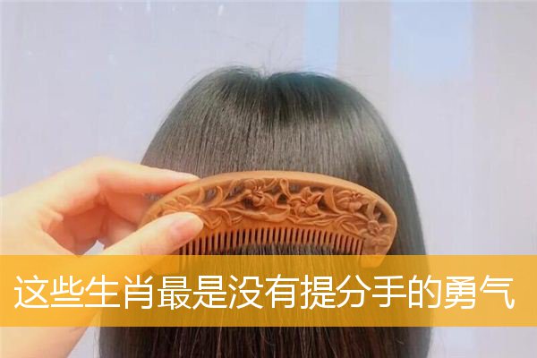 这些生肖最是没有提分手的勇气