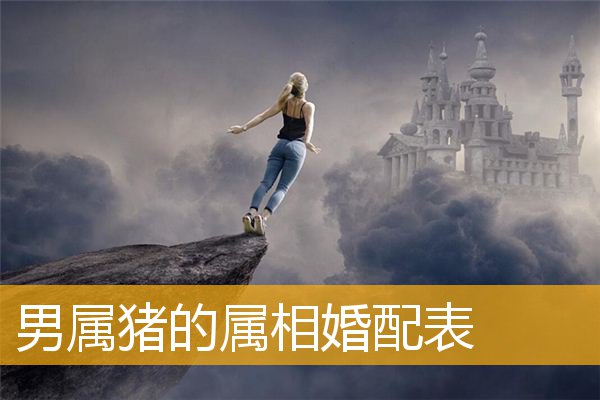 男属猪的属相婚配表