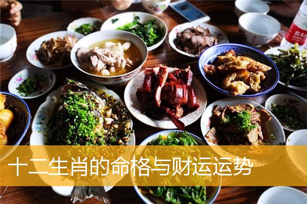 十二生肖的命格与财运运势
