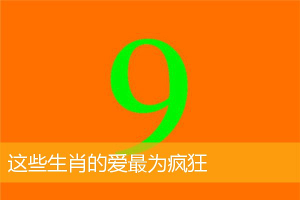 这些生肖的爱最为疯狂