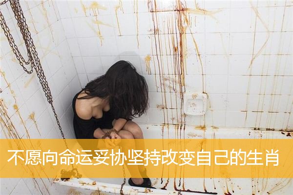不愿向命运妥协坚持改变自己的生肖
