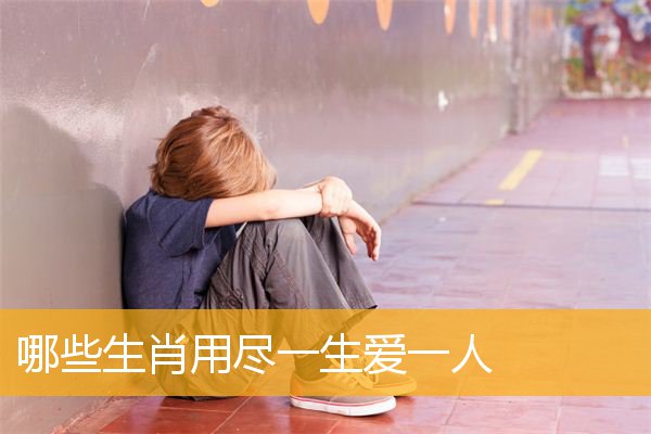 哪些生肖用尽一生爱一人