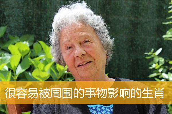 很容易被周围的事物影响的生肖