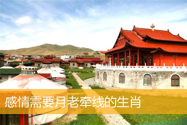 感情需要月老牵线的生肖