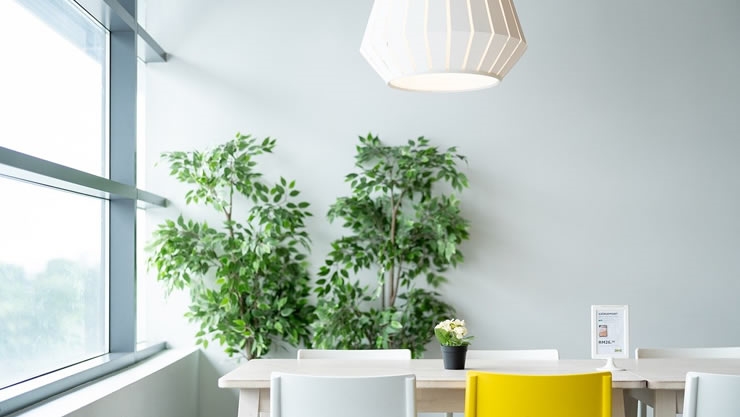 梅花易数：如何看物体形态占卜起卦