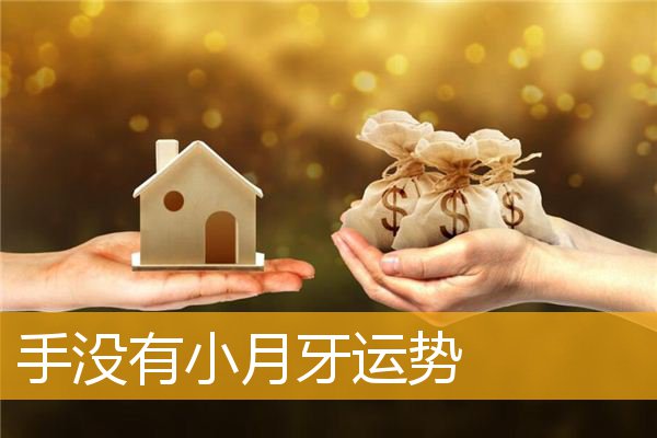 手没有小月牙运势