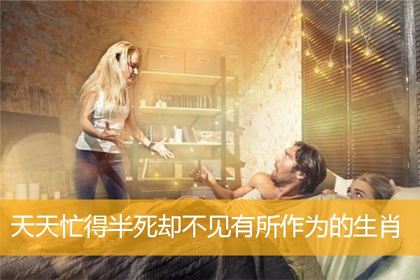 天天忙得半死却不见有所作为的生肖