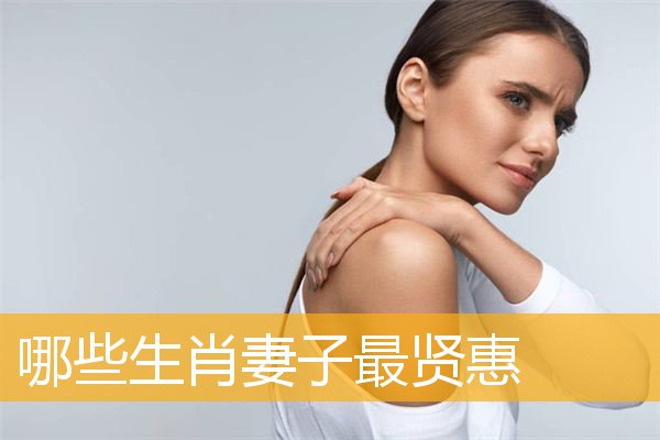 哪些生肖妻子最贤惠