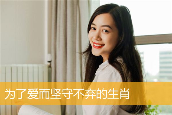 为了爱而坚守不弃的生肖
