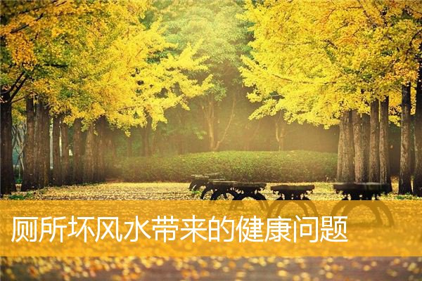 厕所坏风水带来的健康问题