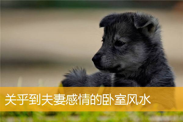 关乎到夫妻感情的卧室风水