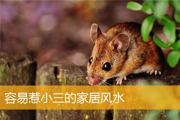 容易惹小三的家居风水