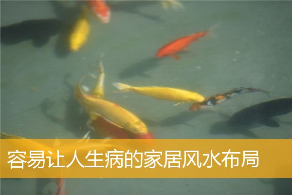 容易让人生病的家居风水布局