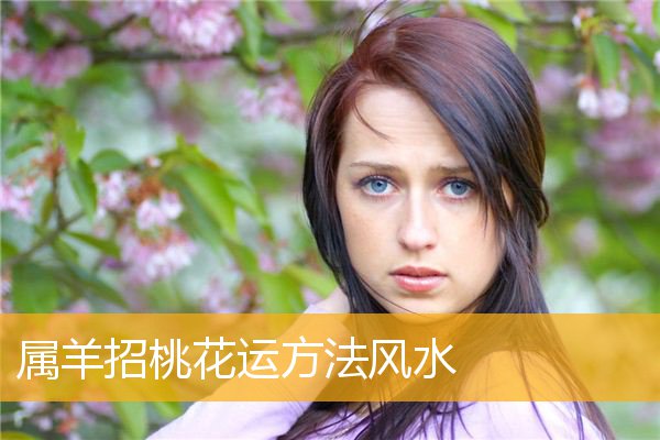 属羊招桃花运方法风水