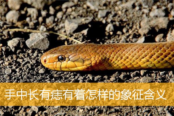 手中长有痣有着怎样的象征含义