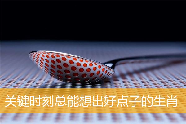 关键时刻总能想出好点子的生肖