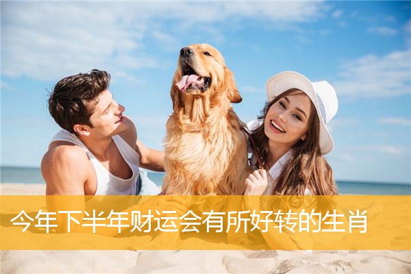 今年下半年财运会有所好转的生肖