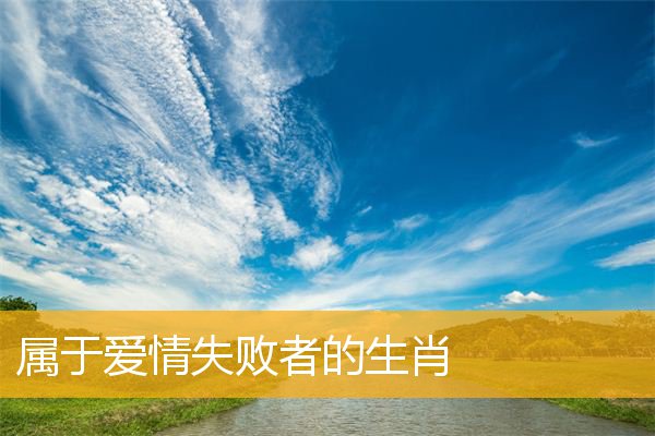 属于爱情失败者的生肖