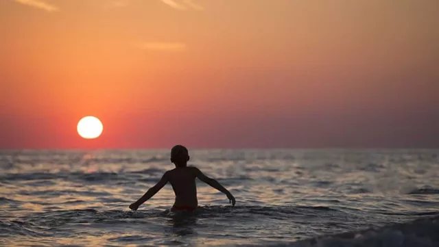 紫微命盘解析——天梁、太阳于卯酉宫守命