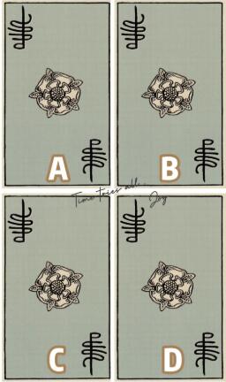 塔罗占卜未来老公的职业 他的事业心多重?