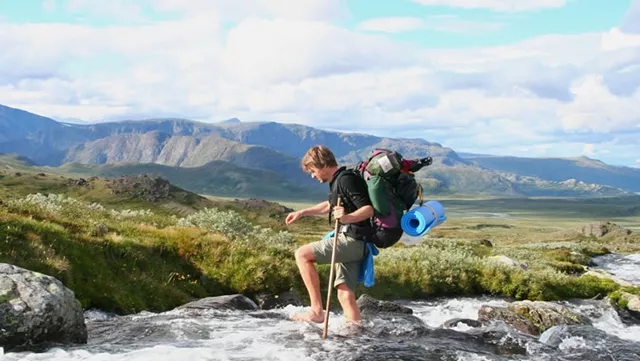 紫微命盘解析——天同于卯酉宫独守命宫